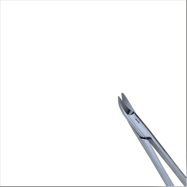 Crown And Collar Scissors Curved 4.5" - Image 3